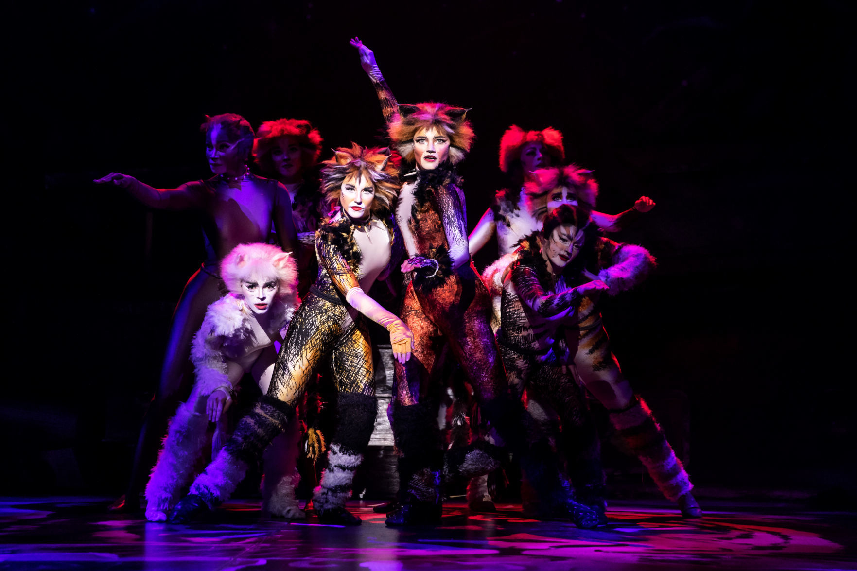 Get musical, from "Cats" to "Little Shop of Horrors"
